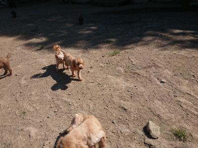 f:id:roukenhome-ann:20190812050412j:plain
