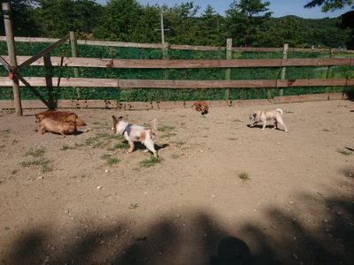 f:id:roukenhome-ann:20190812050549j:plain