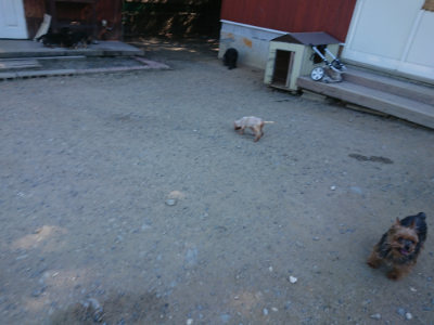 f:id:roukenhome-ann:20190812050554j:plain