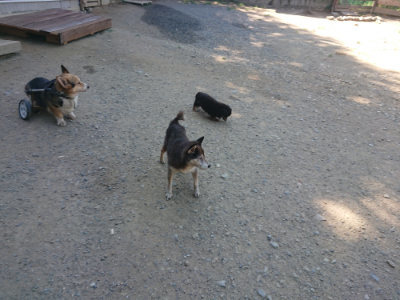 f:id:roukenhome-ann:20190812050635j:plain