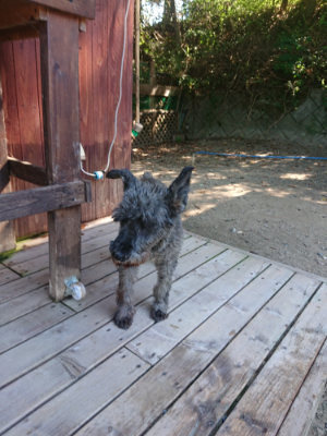f:id:roukenhome-ann:20190812050653j:plain
