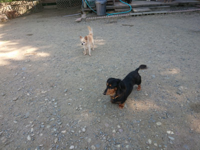 f:id:roukenhome-ann:20190812050707j:plain