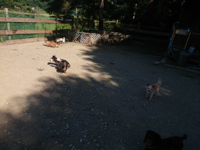 f:id:roukenhome-ann:20190812050716j:plain