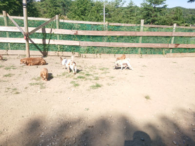 f:id:roukenhome-ann:20190812050739j:plain