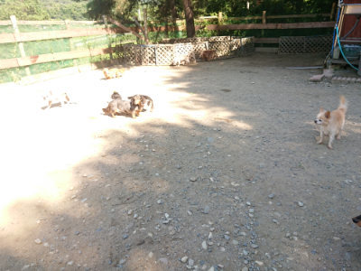 f:id:roukenhome-ann:20190812050743j:plain