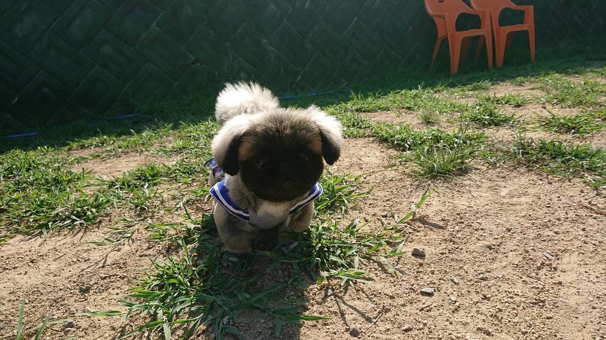f:id:roukenhome-ann:20190812084705j:plain