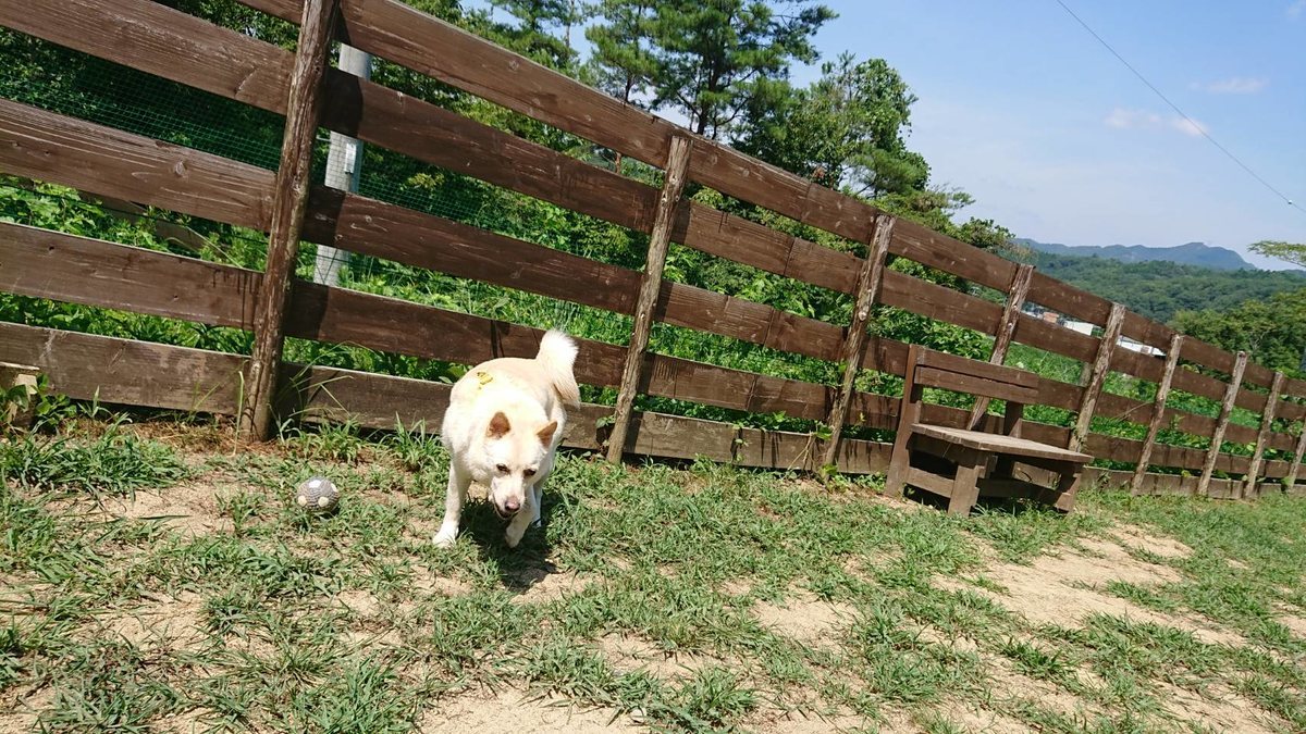 f:id:roukenhome-ann:20190812084745j:plain