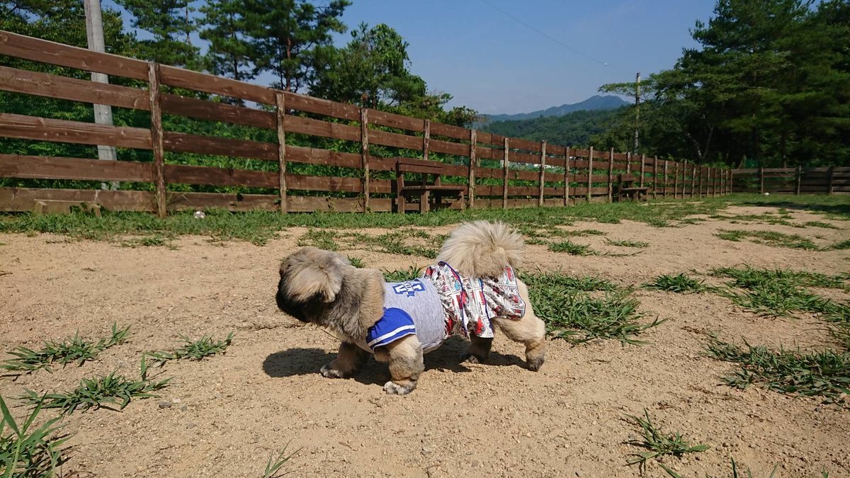 f:id:roukenhome-ann:20190812084809j:plain