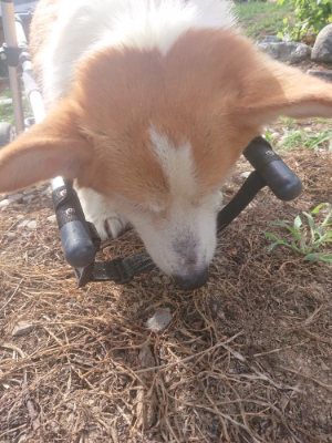 f:id:roukenhome-ann:20190812123405j:plain