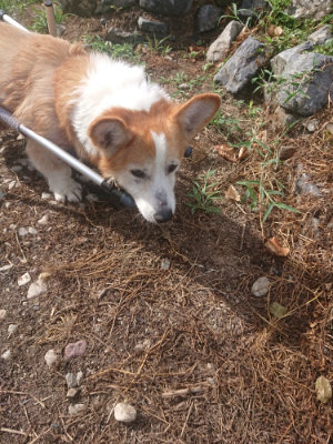 f:id:roukenhome-ann:20190812123431j:plain