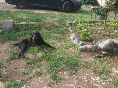 f:id:roukenhome-ann:20190812123520j:plain