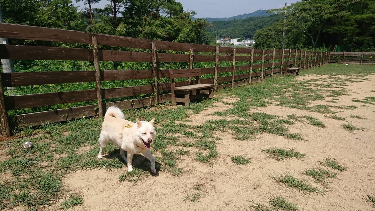 f:id:roukenhome-ann:20190812131957j:plain