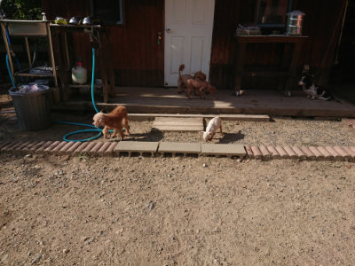f:id:roukenhome-ann:20190812150910j:plain