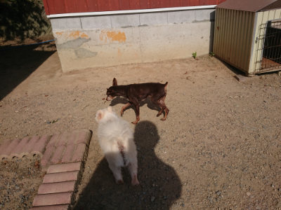 f:id:roukenhome-ann:20190812150950j:plain