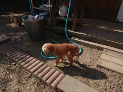 f:id:roukenhome-ann:20190812151313j:plain