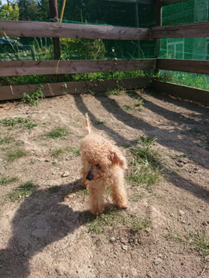 f:id:roukenhome-ann:20190812151434j:plain