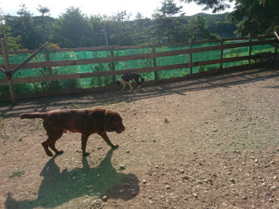 f:id:roukenhome-ann:20190812151557j:plain
