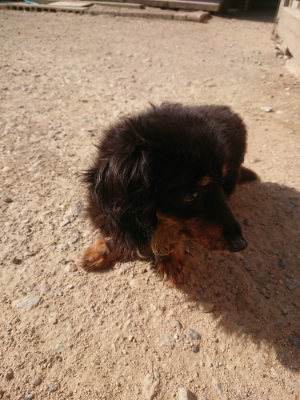 f:id:roukenhome-ann:20190812151833j:plain