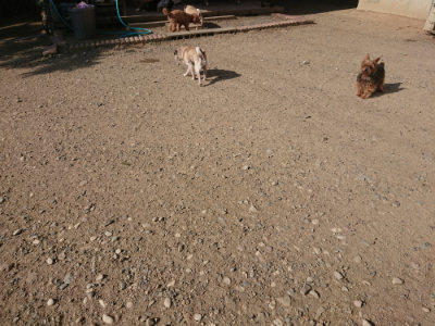 f:id:roukenhome-ann:20190812152000j:plain