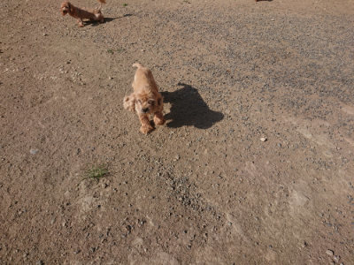 f:id:roukenhome-ann:20190812152047j:plain