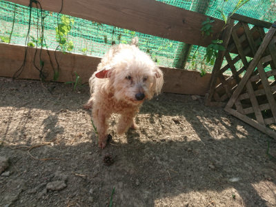 f:id:roukenhome-ann:20190812152448j:plain