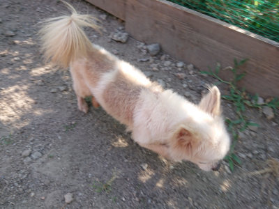 f:id:roukenhome-ann:20190812152536j:plain