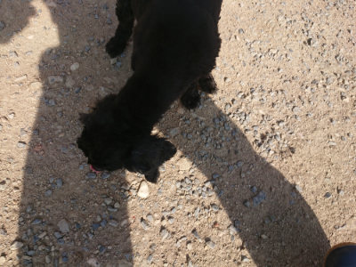 f:id:roukenhome-ann:20190812152715j:plain