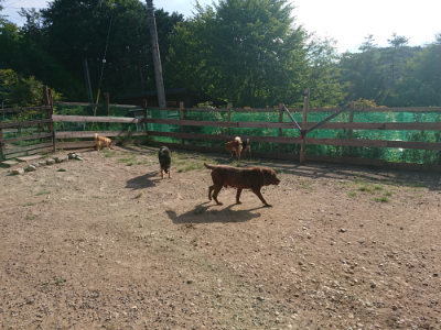 f:id:roukenhome-ann:20190812152748j:plain
