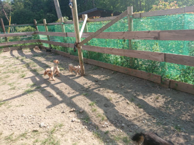 f:id:roukenhome-ann:20190812152906j:plain