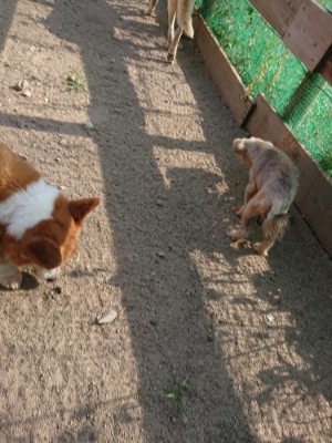 f:id:roukenhome-ann:20190812152921j:plain