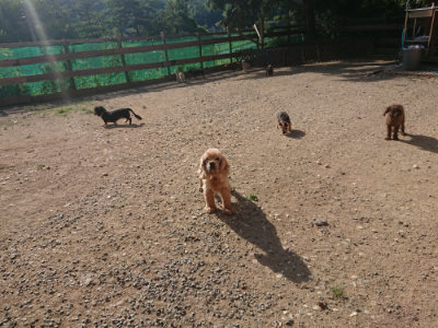 f:id:roukenhome-ann:20190812153036j:plain