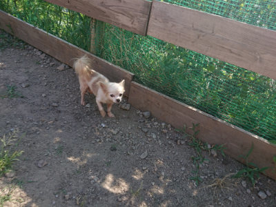 f:id:roukenhome-ann:20190812153053j:plain