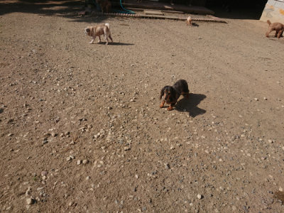 f:id:roukenhome-ann:20190812153146j:plain