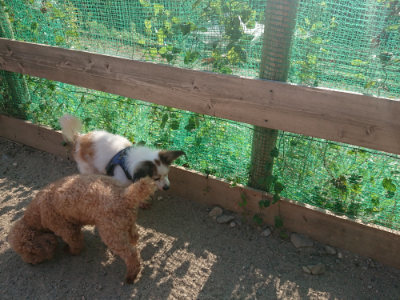 f:id:roukenhome-ann:20190812153219j:plain