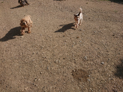 f:id:roukenhome-ann:20190812153226j:plain