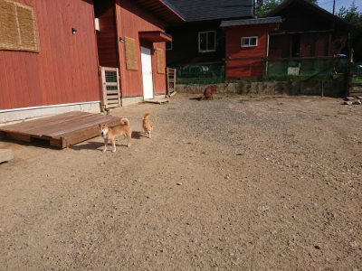 f:id:roukenhome-ann:20190812153239j:plain