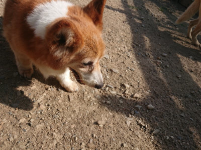 f:id:roukenhome-ann:20190812153245j:plain