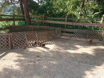 f:id:roukenhome-ann:20190812153324j:plain