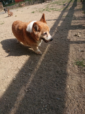 f:id:roukenhome-ann:20190812153340j:plain