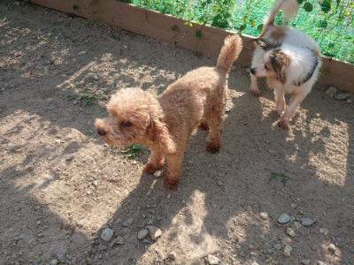 f:id:roukenhome-ann:20190812153345j:plain