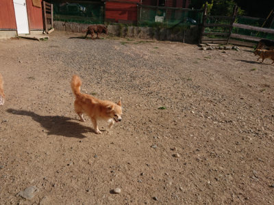 f:id:roukenhome-ann:20190812153355j:plain