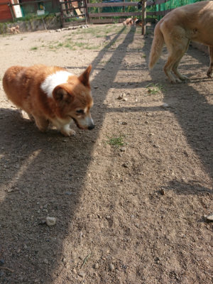 f:id:roukenhome-ann:20190812153401j:plain