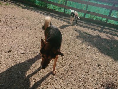 f:id:roukenhome-ann:20190812171607j:plain