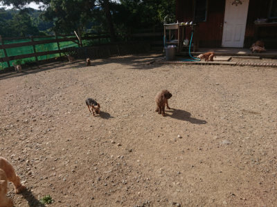 f:id:roukenhome-ann:20190812171647j:plain