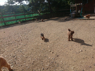 f:id:roukenhome-ann:20190812171653j:plain