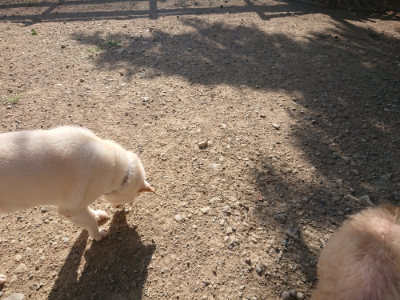 f:id:roukenhome-ann:20190812171702j:plain