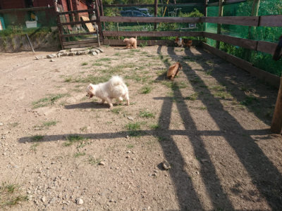 f:id:roukenhome-ann:20190812171708j:plain