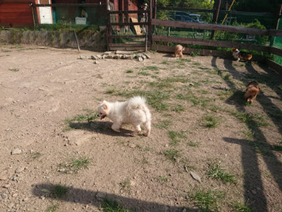 f:id:roukenhome-ann:20190812171721j:plain