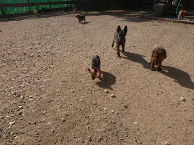 f:id:roukenhome-ann:20190812171725j:plain