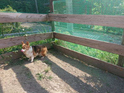 f:id:roukenhome-ann:20190812171737j:plain